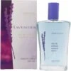 Mayfair Lavender Eau De Toilette 100ml Spray 1 Mayfair Lavender Eau De Toilette 100ml Spray -Vendite Berma 217719