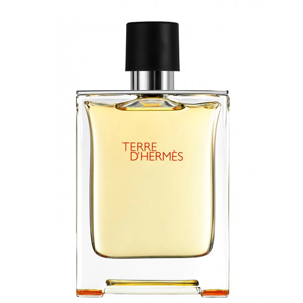 Hermès Terre D'Hermes Edt Vapo Uomo 100 Ml 3 Hermès Terre D'Hermes Edt Vapo Uomo 100 Ml