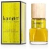 Kanon Pour Homme 100 Ml Eau De Toilette Edt Profumo Uomo -Vendite Berma 417598